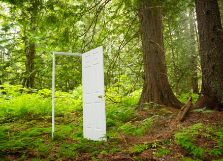 Door in forest